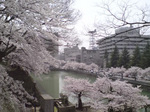 060418-1.jpg