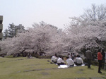 060418-2.jpg