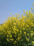 070410-2.jpg