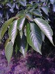 080507_1237~0001.jpg