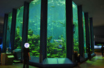 20100910-7.jpg