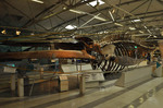 20100910-9.jpg
