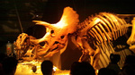 20110717-2.jpg