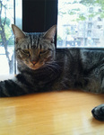 20110813-1.jpg