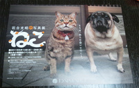 20110813-2.jpg
