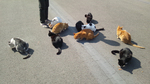 20120303-1.jpg