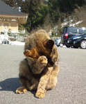 20120303-2.jpg
