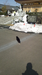 20120303-3.jpg