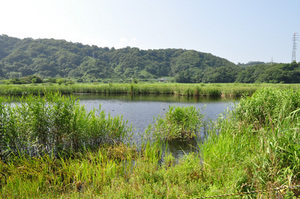 nakaikemi01